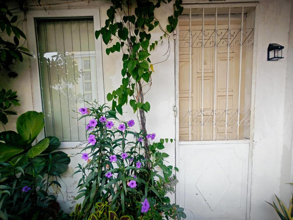 Cuc Cu Nest – Hanoi