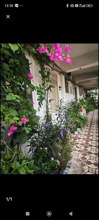 Cuc Cu Nest – Photos 6